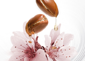 Bucato profumato con essenze Argan